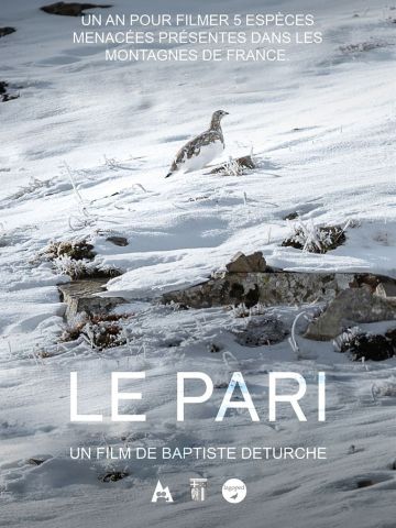Affiche du film Le pari