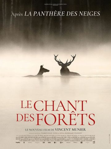 Affiche du film Le chant des forêts
