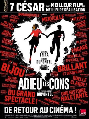Affiche du film Adieu les cons